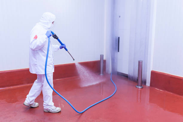 Best Roof Washing  in Rosedale, MS