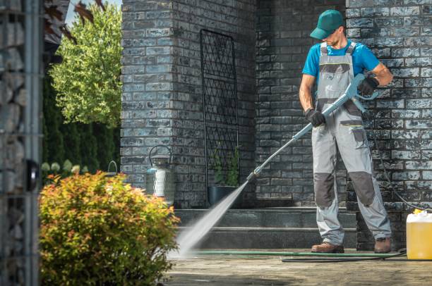 Best Soft Washing  in Rosedale, MS